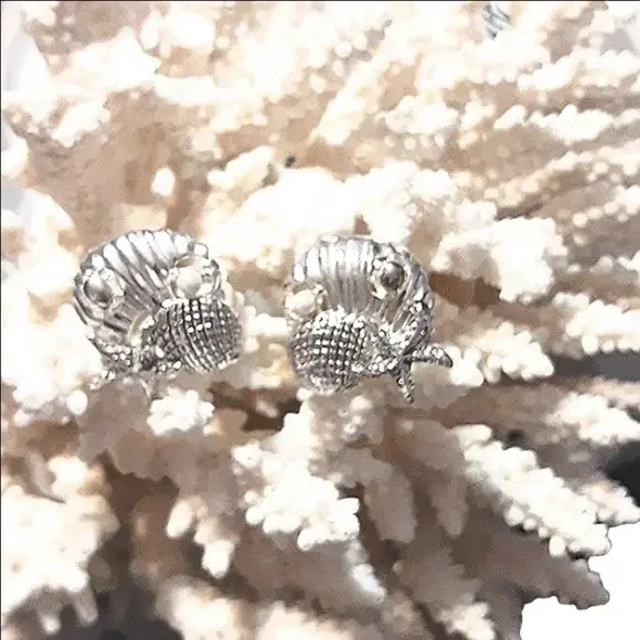 SEASHELLS, STARFISH & a tiny PEARL - Picture 6 of 6